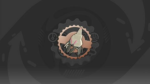 Dragon Bone Port Explorer