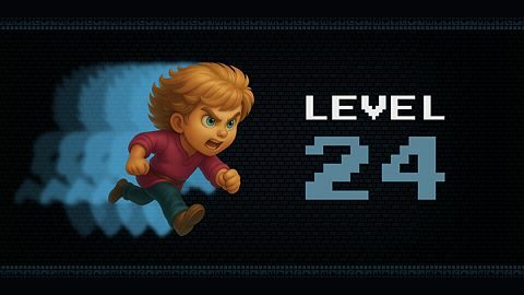 Level 24