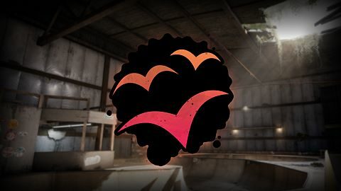 Nos beaux amis à plumes