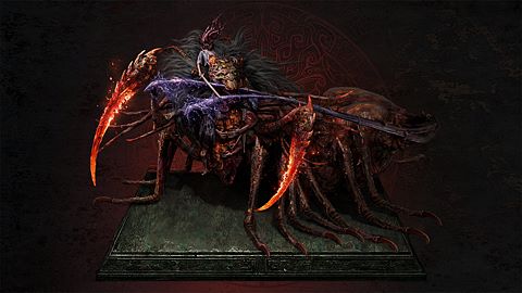 Chancrefileur - Grande scolopendre