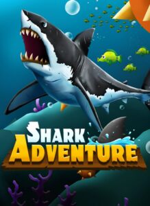 Shark Adventure