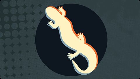 Quoi qu'il en coûte