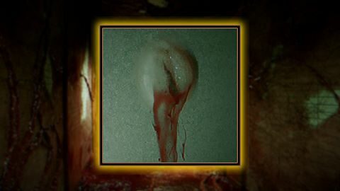 Violation de domicile