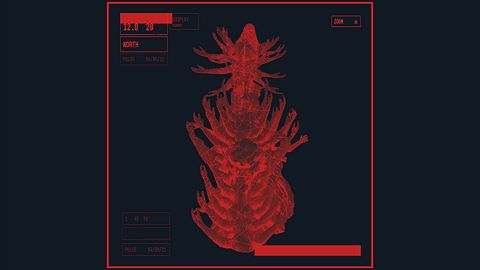 Le sacrifice de la chair