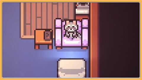 Can You Pet the Cat?