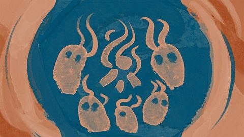 C'est l'heure du dodo