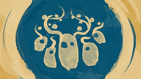 Florilège de décorations