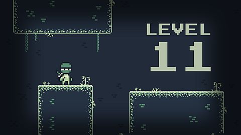 Level 11