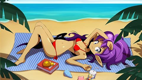 Maître des déverrouillages