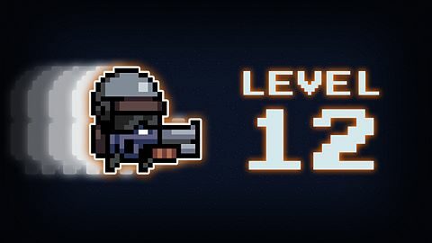 Level 12