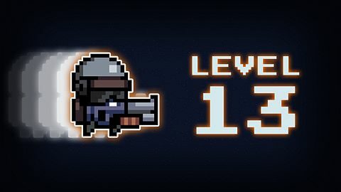 Level 13