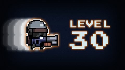 Level 30