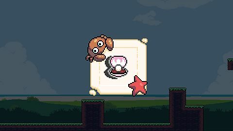 What Does This Shell Do?