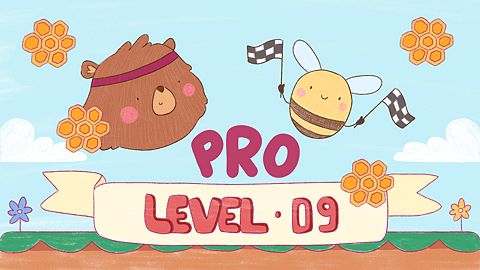 Level 09 Pro
