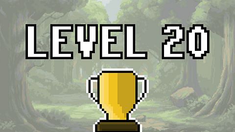 Complete level 20