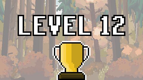 Complete level 12