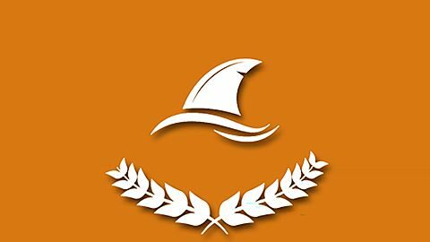 Beginner Level Shark Hunter