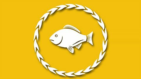 Expert Level Fish Hunter