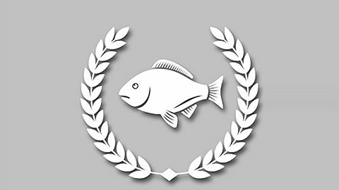 Intermediate Level Fish Hunter