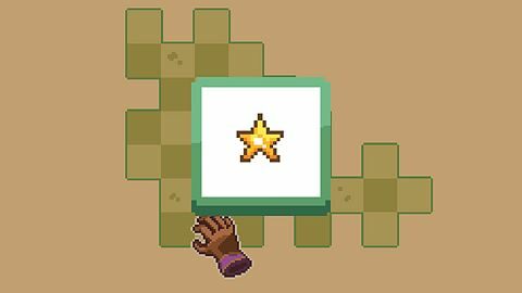 Shining in the Forest