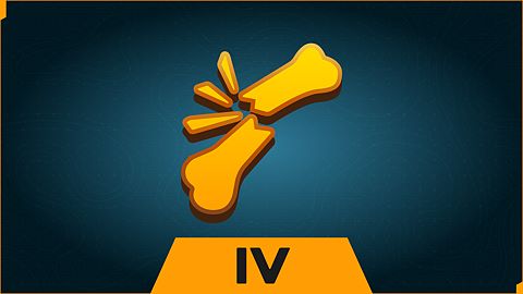 Endurance : Dégâts IV