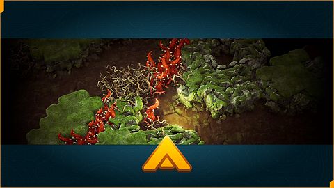 Maîtrise : Hallier creux