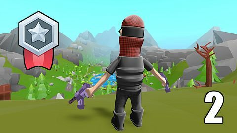 Earn 2 Silver Medals