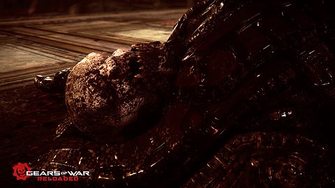 Un plat qui se mange froid