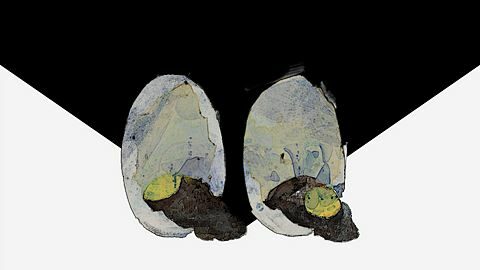 Pourquoi c’est toujours moi ?