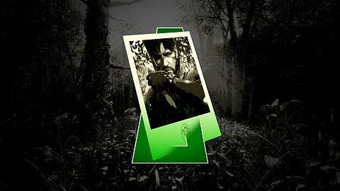 Un paparazzi dans la jungle