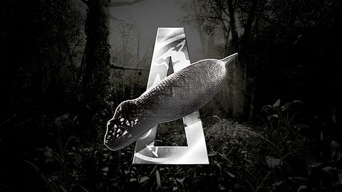 Vous n'allez jamais me croire