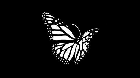 Flotter comme un papillon