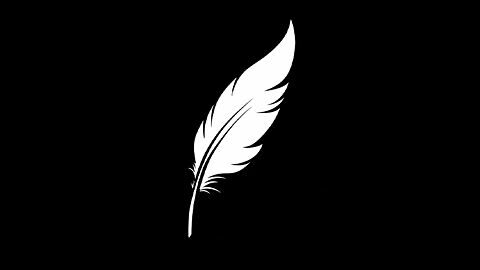 Chasseur de trésors