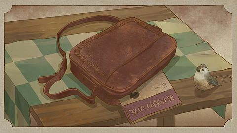 Collectionneuse avide