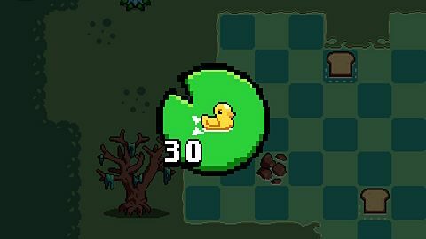 Ducklings Love to Walk