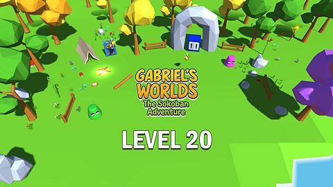 Level 20