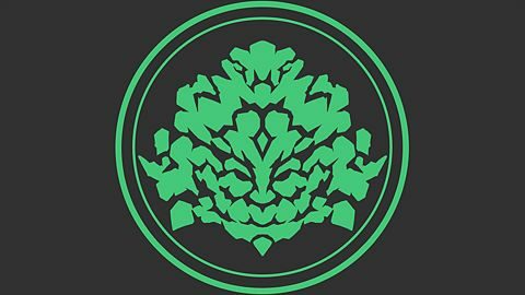 Collectionneur de cailloux