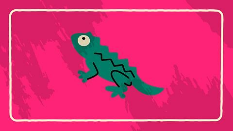 The Roadtrip Less Traveled