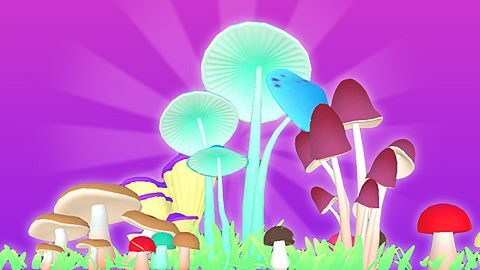 Toadstools and truffles