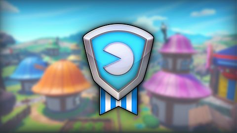 Coordinateur du village