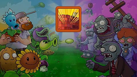 Les pieds bien au sol