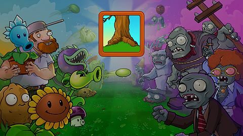 Élégantes ramifications