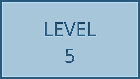 Level 5