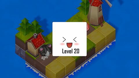 Level 20