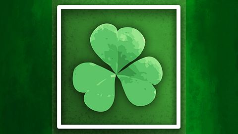 Champion de Chestnut Hill