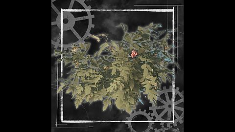 Un secret bien gardé