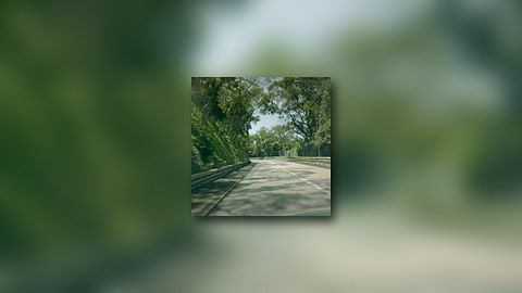 噉慢慢爬囉 (Tu n'as qu'à ramper lentement)