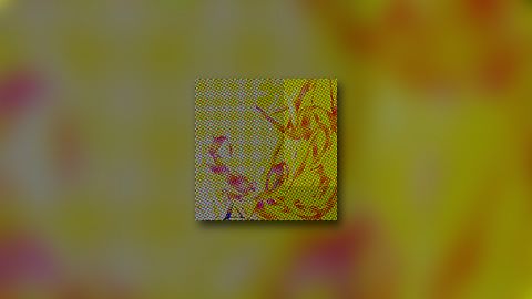 Détruire le Gouvernement provisoire