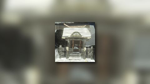 Je crois que c'est un renard