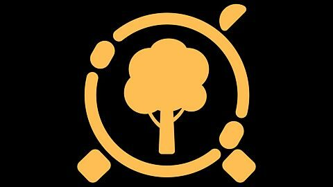  Bienvenue dans la Forêt scintillante